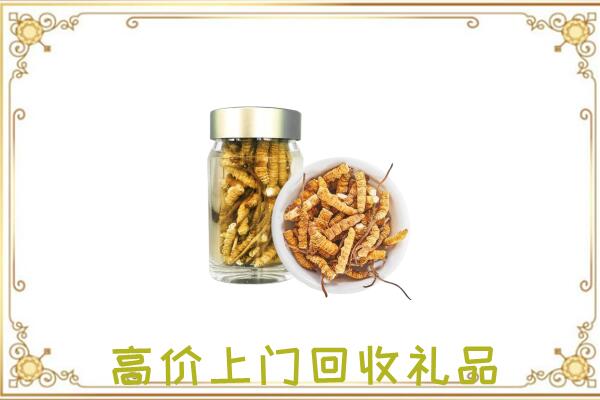 阳江周边回收虫草